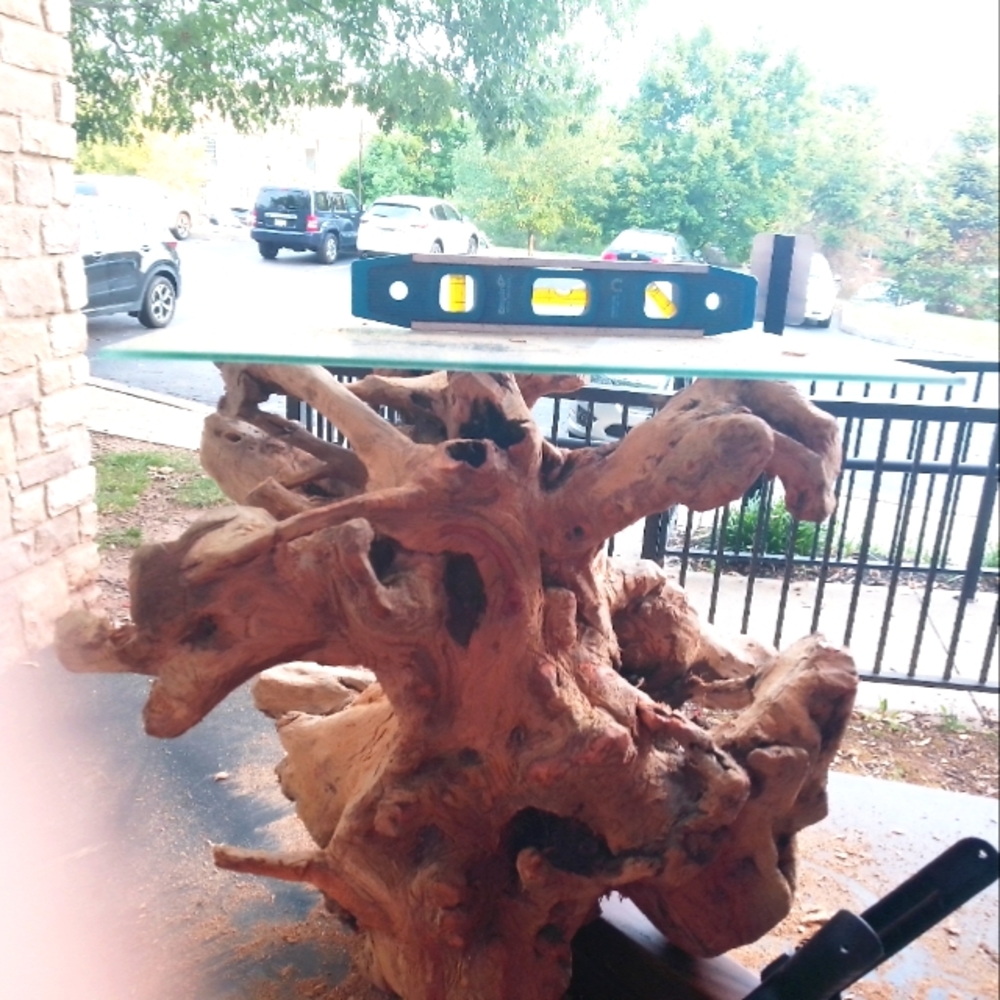 Hardwood root ball table/artwork